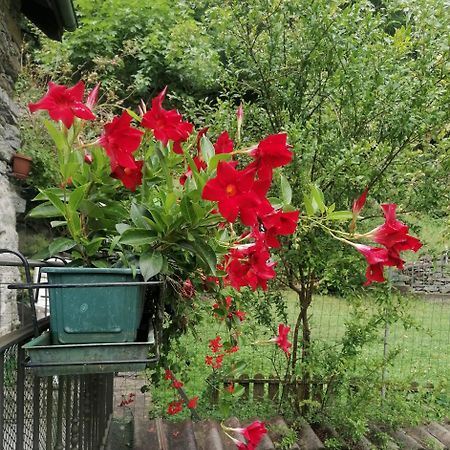 Casa Prucci Villa Battigio Екстериор снимка